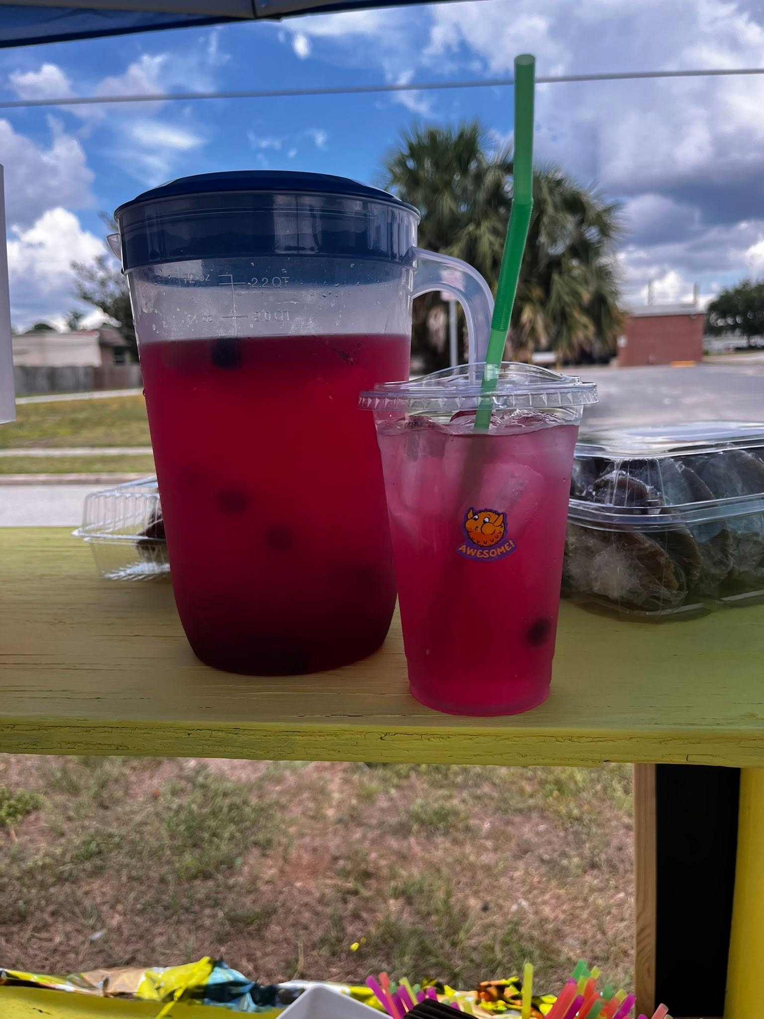 Blueberry Splash